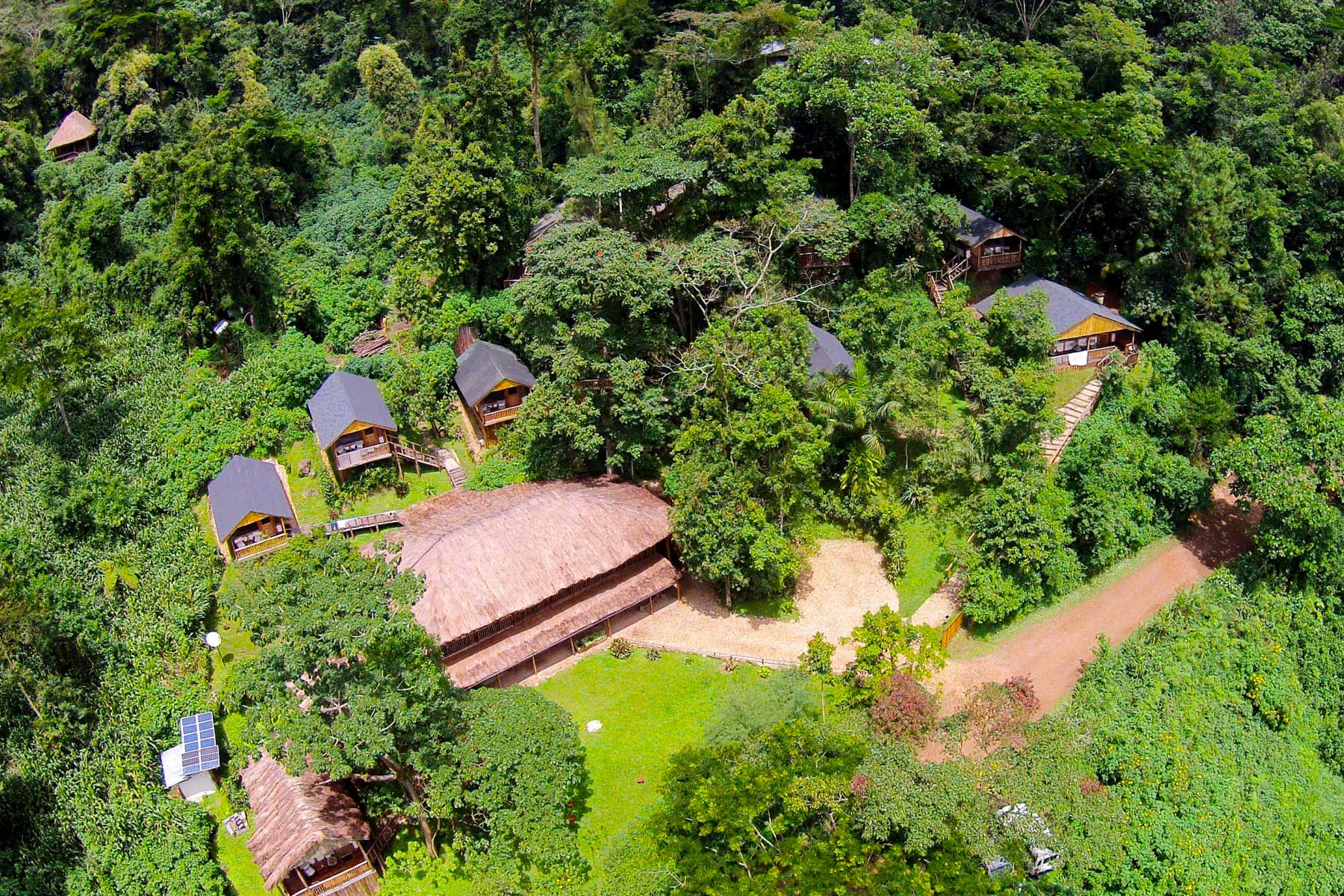 3-days-uganda-gorilla-trekking-staying-at-buhoma-lodge