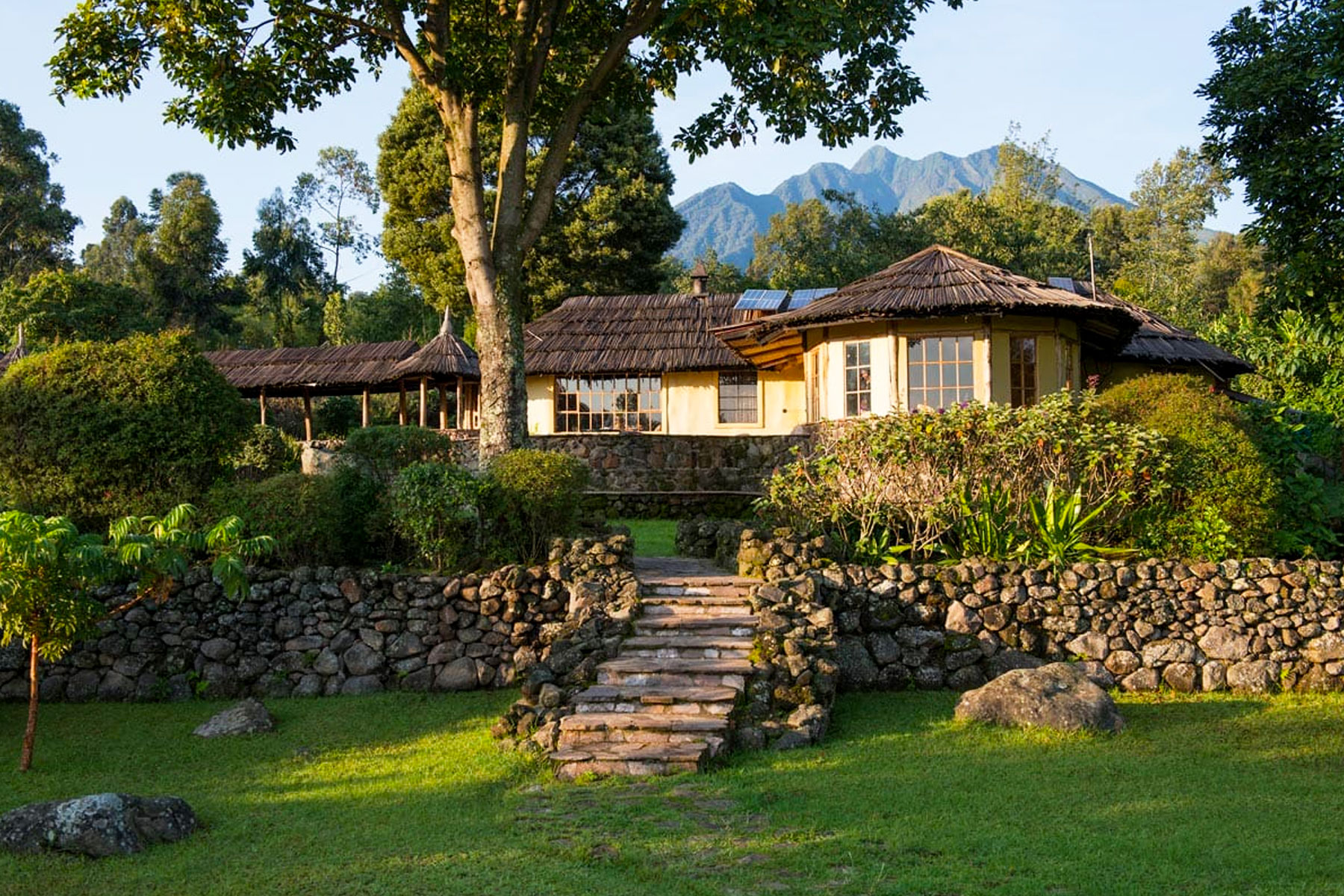 4-days-uganda-gorillas-golden-monkeytracking-staying-at-mount-gahinga-lodge