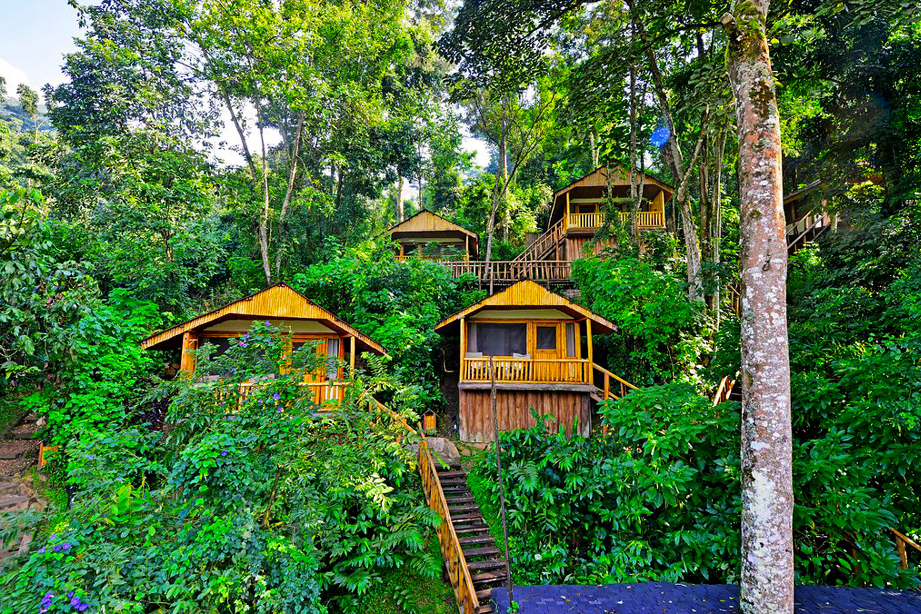 6-days-uganda-safari-gorillas-primates-trekking